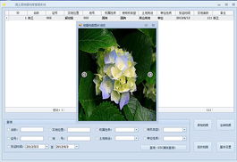 編程小菜的軟件開發(fā)記